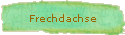 Frechdachse